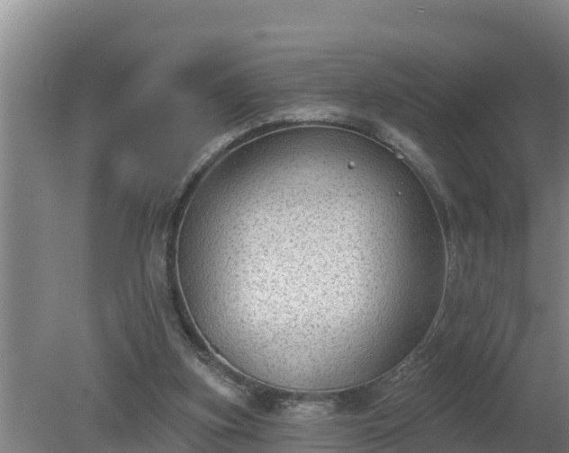 X0000080180155200612151957