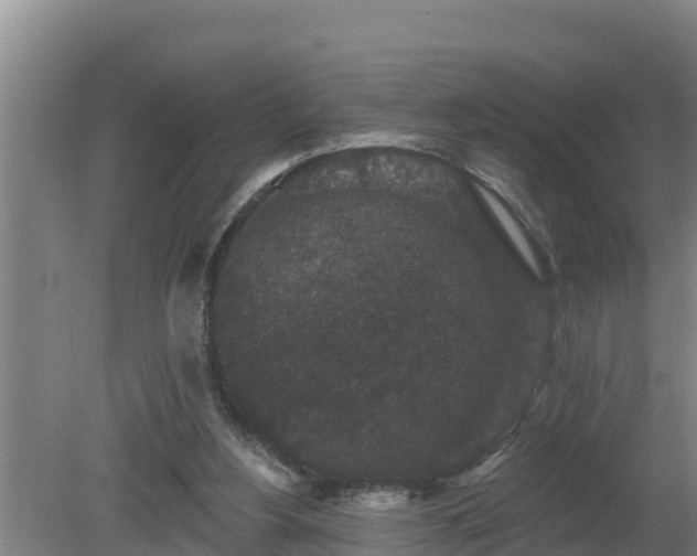 X0000080180156200612151957