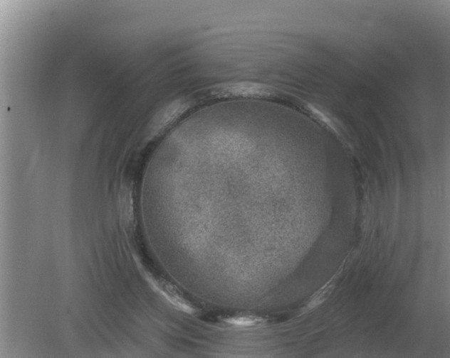 X0000080180158200612151957