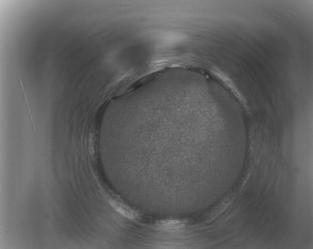 X0000080180161200612151957