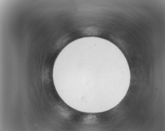 X0000080180162200612151957