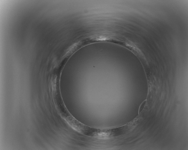 X0000080180163200612151957