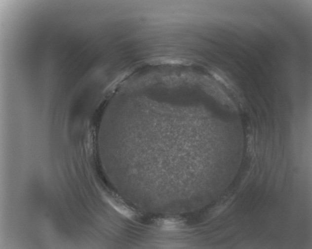 X0000080180165200612151957