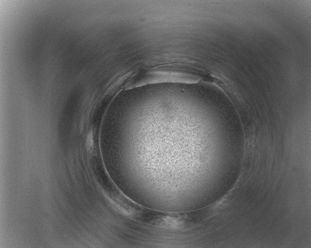 X0000080180166200612151957