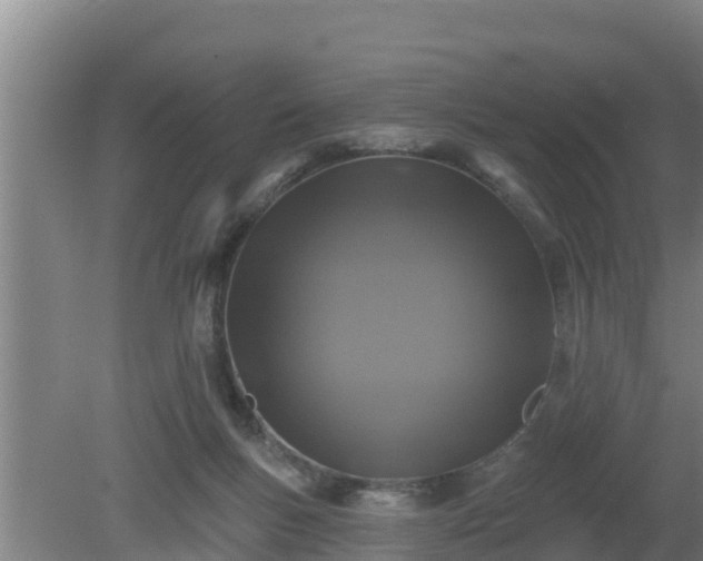 X0000080180167200612151957