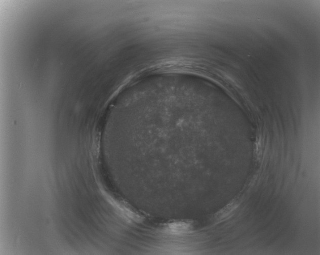 X0000080180168200612151957