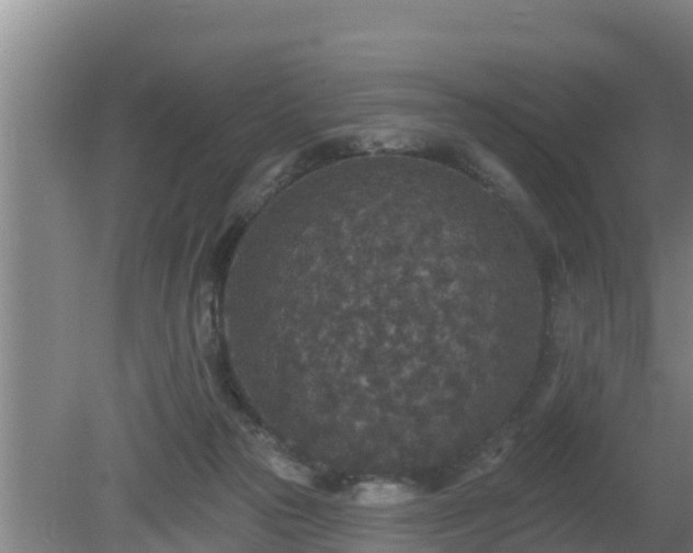 X0000080180169200612151957