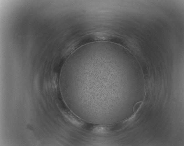 X0000080180174200612151957