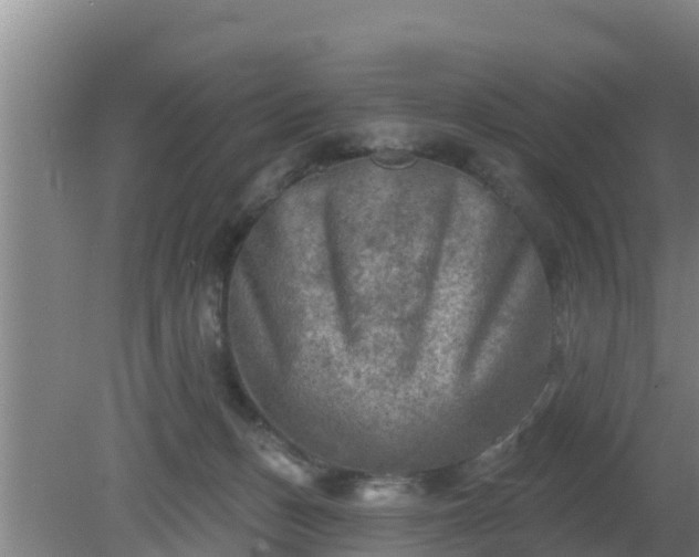 X0000080180175200612151957