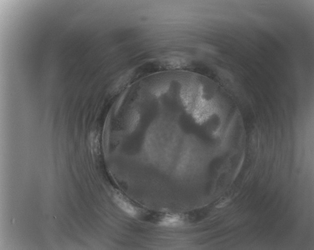 X0000080180177200612151958