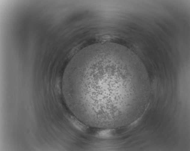 X0000080180178200612151958