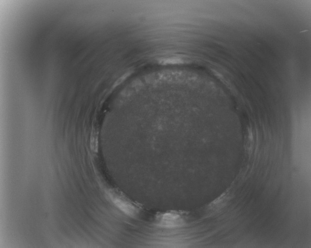 X0000080180180200612151958