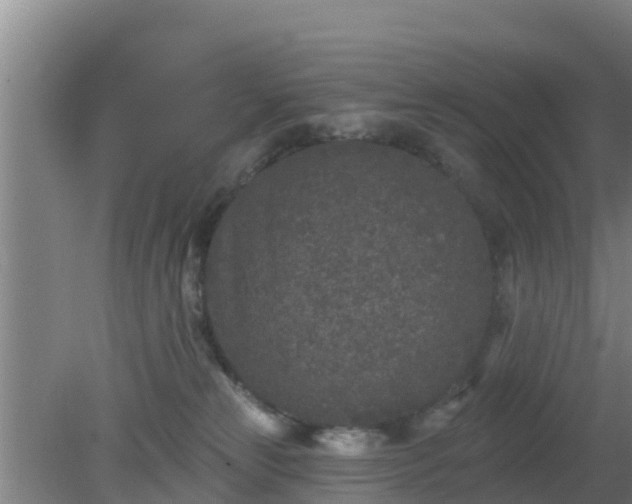 X0000080180181200612151958