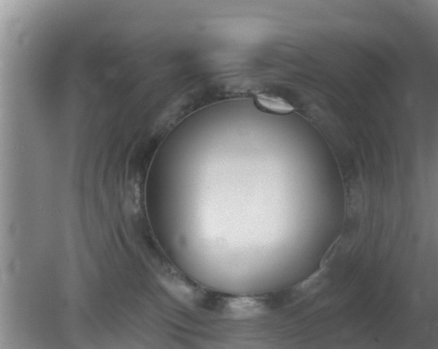 X0000080180183200612151958