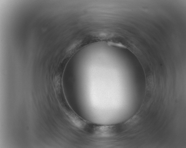 X0000080180184200612151958