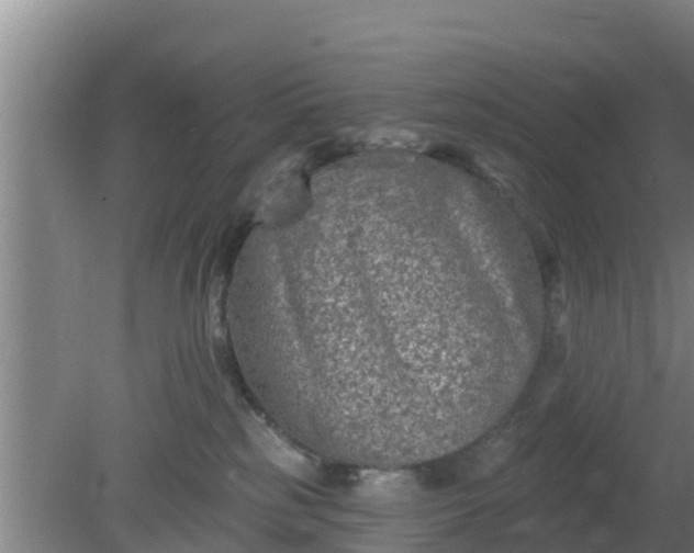 X0000080180185200612151958