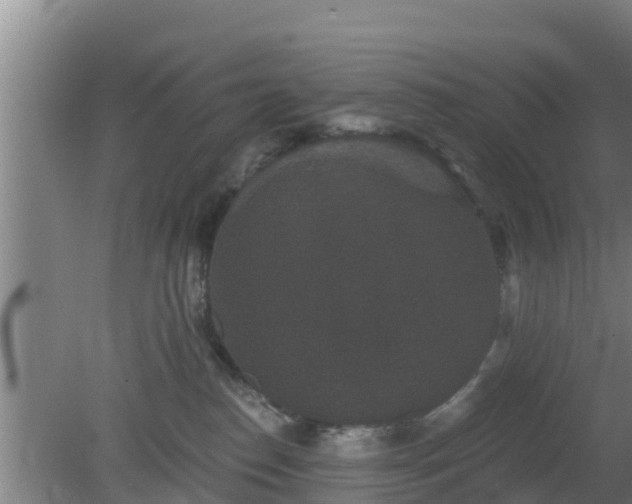 X0000080180186200612151958