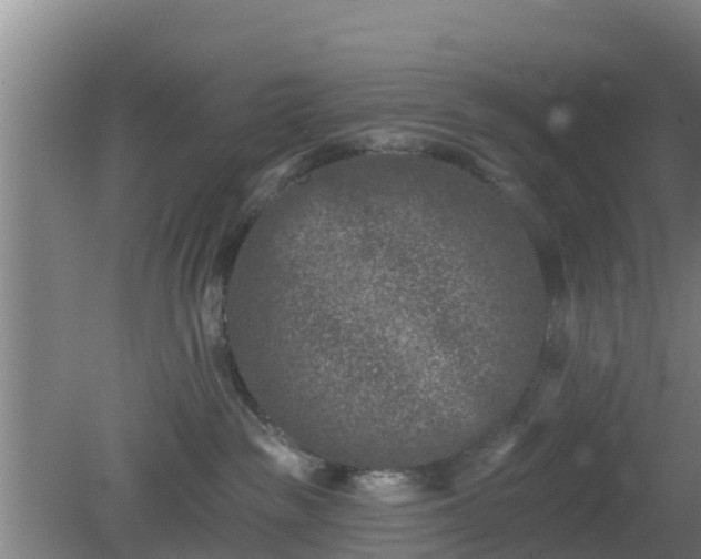 X0000080180189200612151958