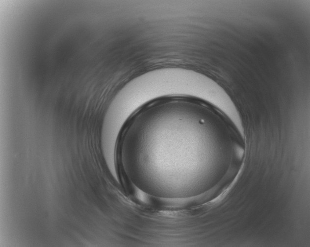 X0000080180190200612151958