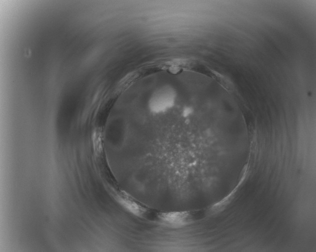 X0000080180191200612151958