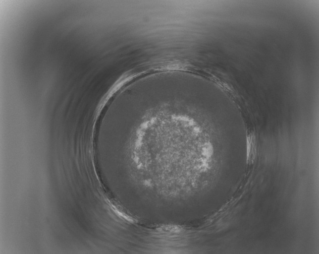 X0000080180195200612151957