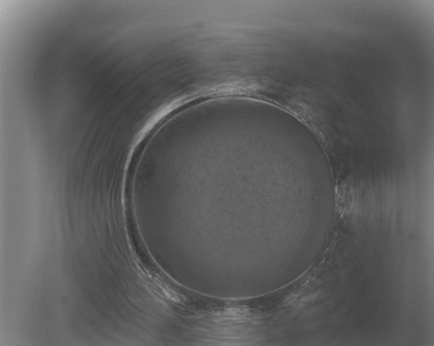 X0000080180196200612151957