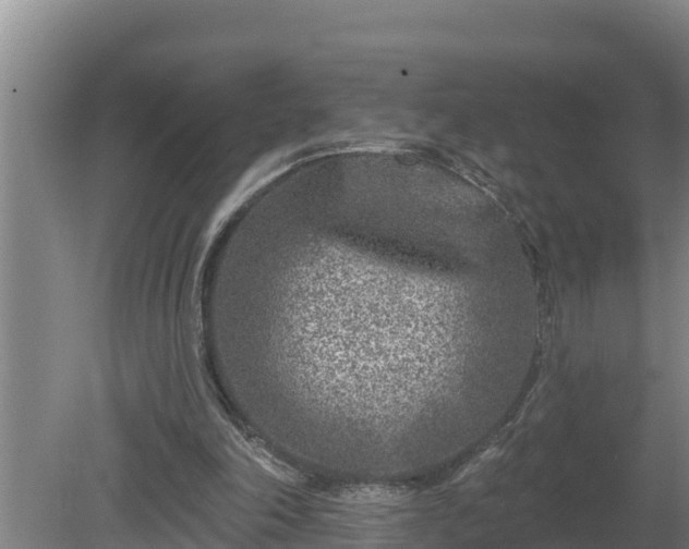 X0000080180198200612151957