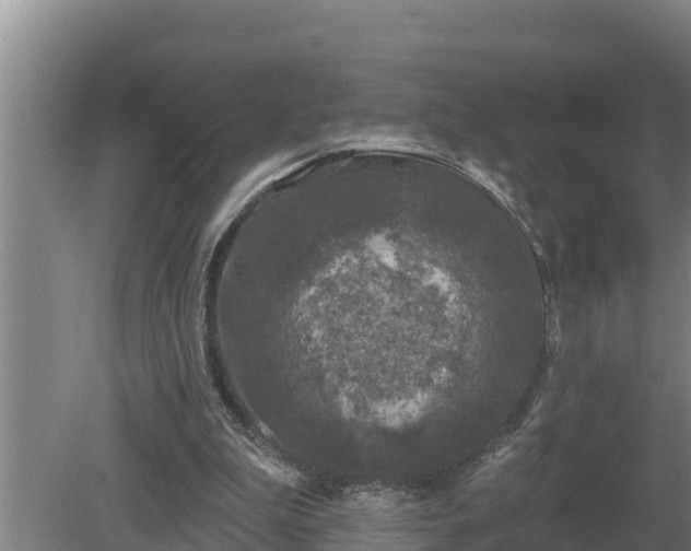 X0000080180199200612151957