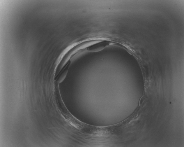 X0000080180200200612151957