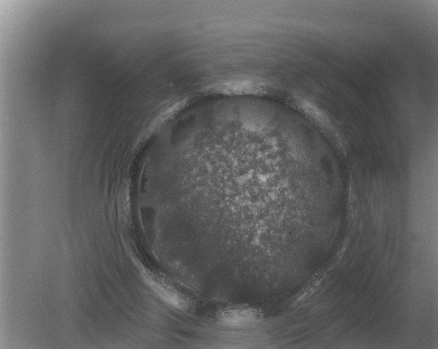 X0000080180202200612151957