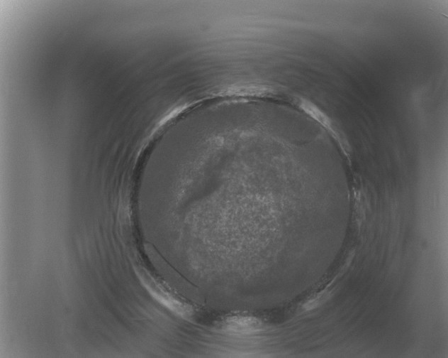 X0000080180203200612151957