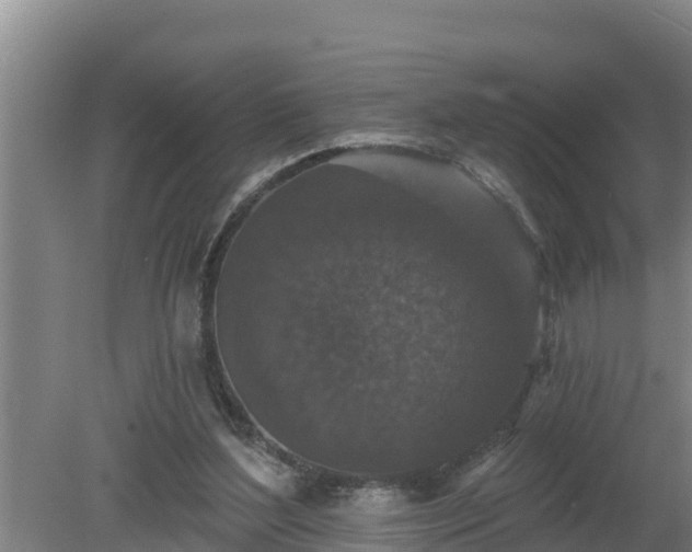 X0000080180204200612151957