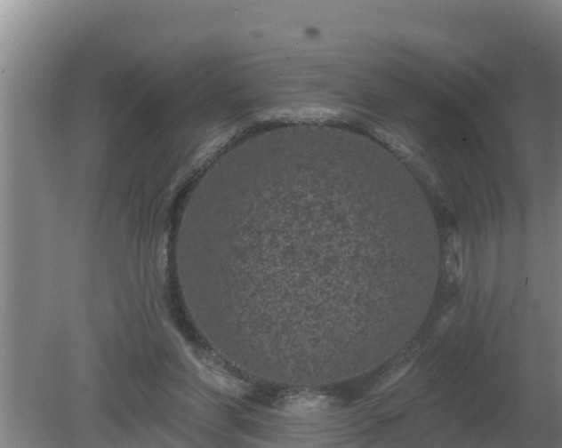 X0000080180206200612151957