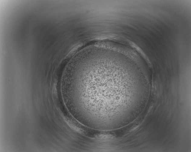 X0000080180209200612151957