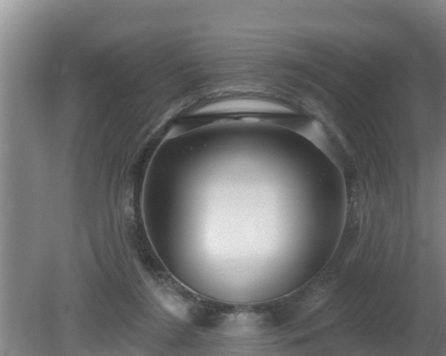 X0000080180212200612151957