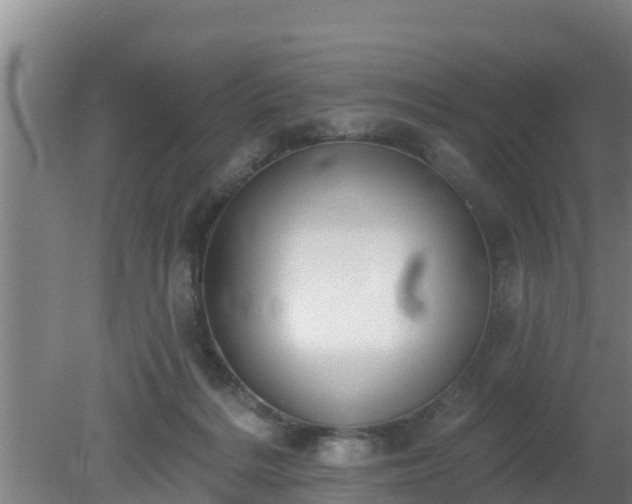 X0000080180220200612151957