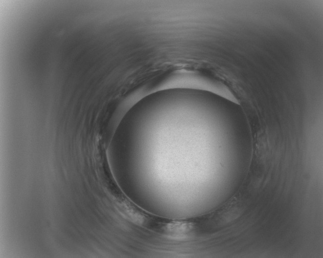 X0000080180225200612151956