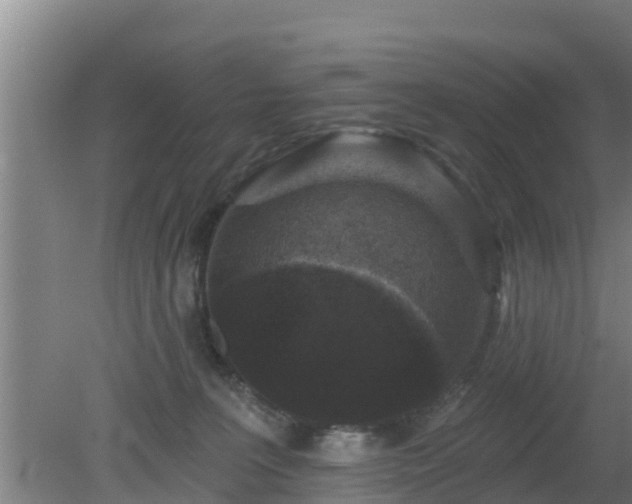 X0000080180227200612151956