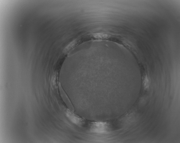 X0000080180233200612151956