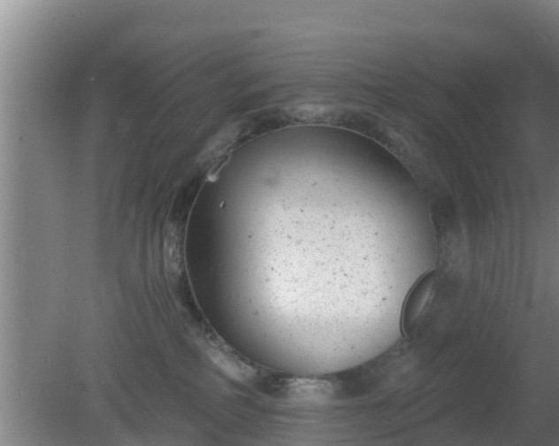 X0000080180234200612151956