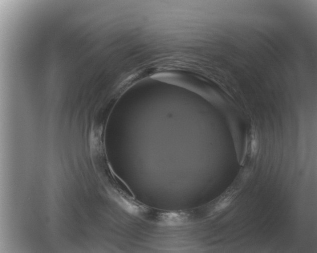 X0000080180239200612151956