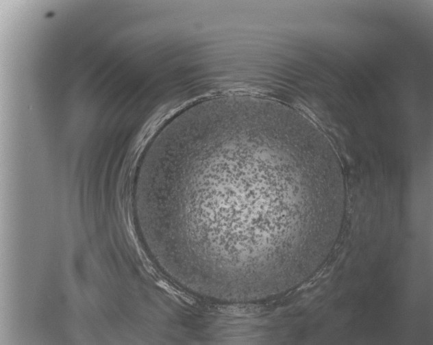 X0000080180241200612151955