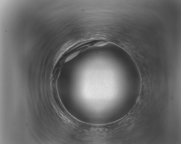 X0000080180242200612151955