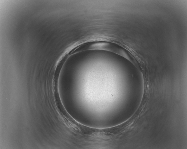 X0000080180244200612151955