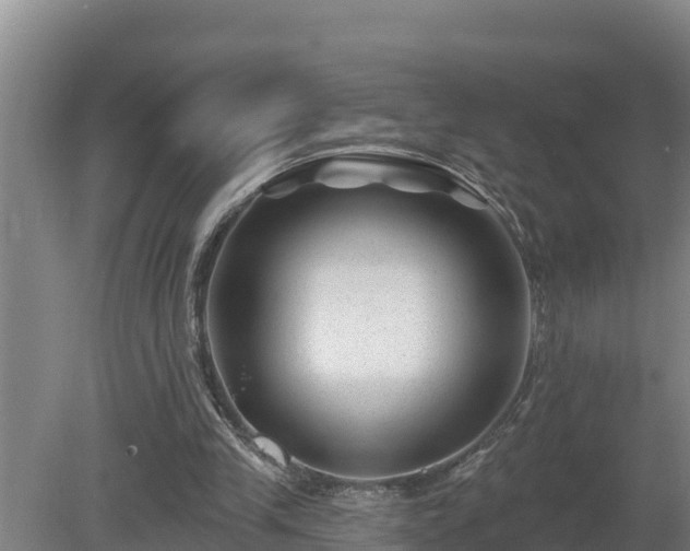 X0000080180245200612151955