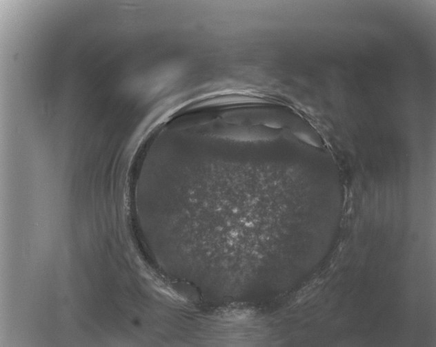 X0000080180247200612151955