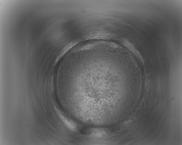 X0000080180250200612151956