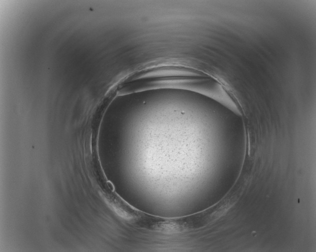 X0000080180253200612151956