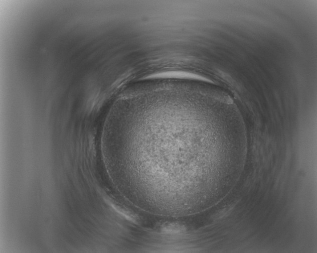 X0000080180258200612151956