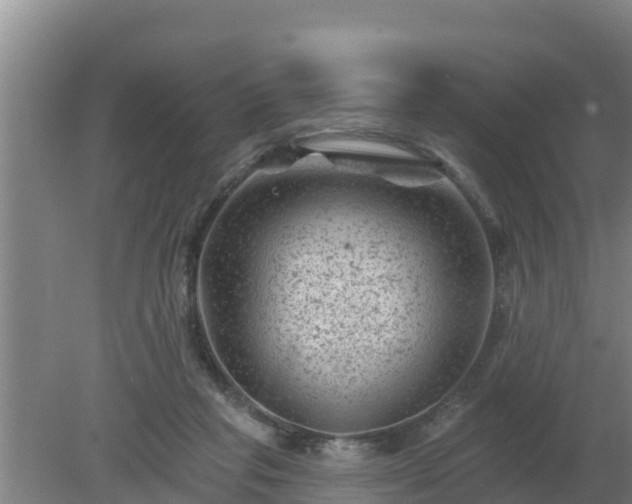 X0000080180261200612151956